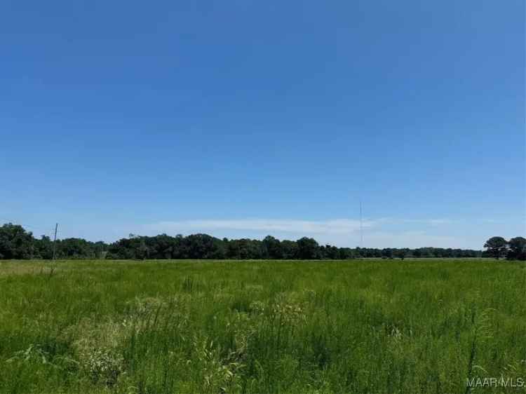 Land For Sale in Dothan, Alabama