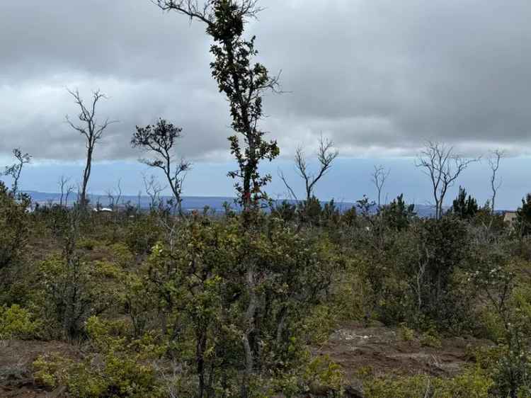 Land For Sale in Hawaiian Ocean View, Hawaii