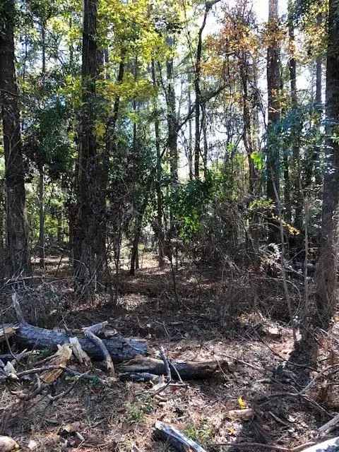 Land For Sale in Eufaula, Alabama