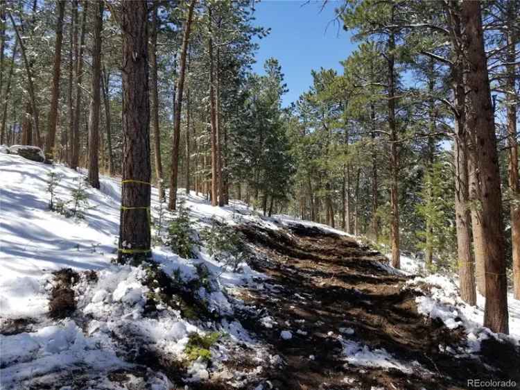 Land For Sale in Evergreen, Colorado