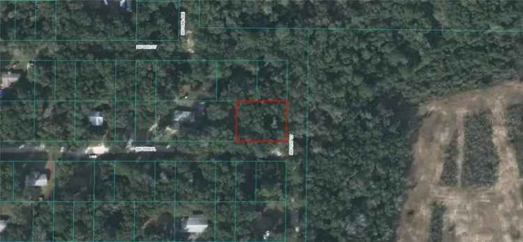 Land For Sale in Florida