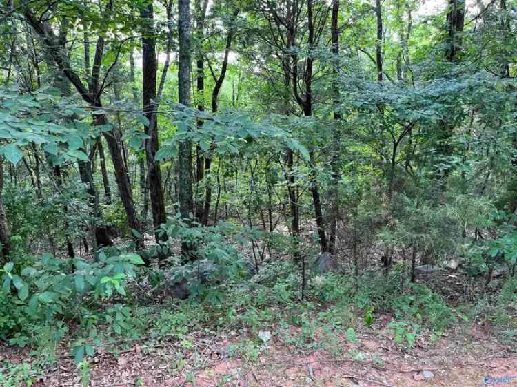 Land For Sale in Huntsville, Alabama