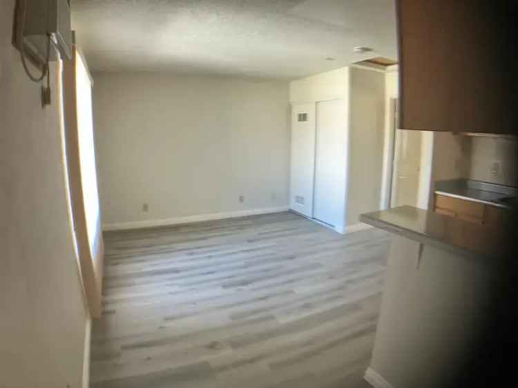 1 Bedroom Apartment Near UCR