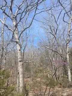 Land For Sale in Arkansas