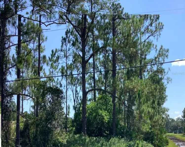 Land For Sale in Wedgefield, Florida