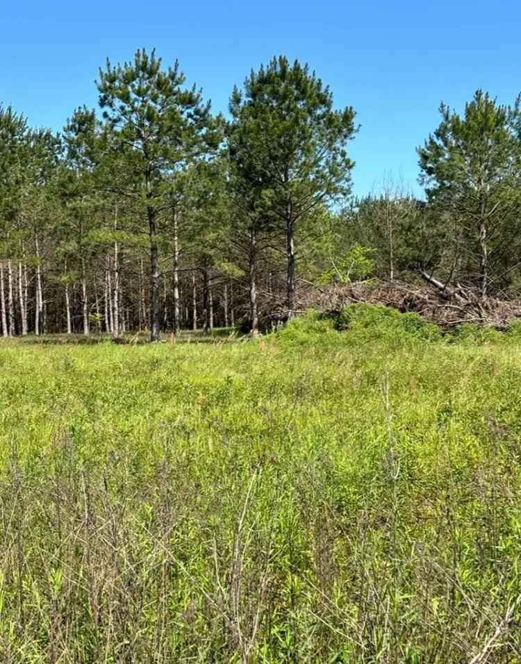 Land For Sale in 220, Buck Kirkland Road, Poplarville, Mississippi