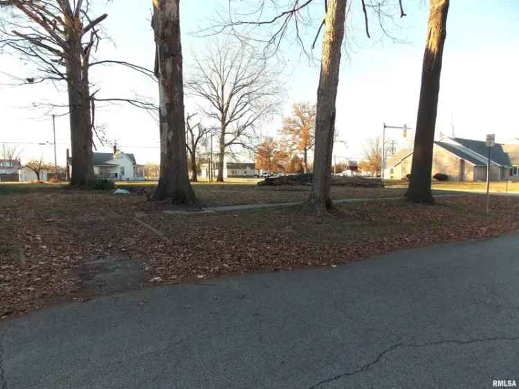 Land For Sale in 238, North Beech Street, Centralia, Illinois