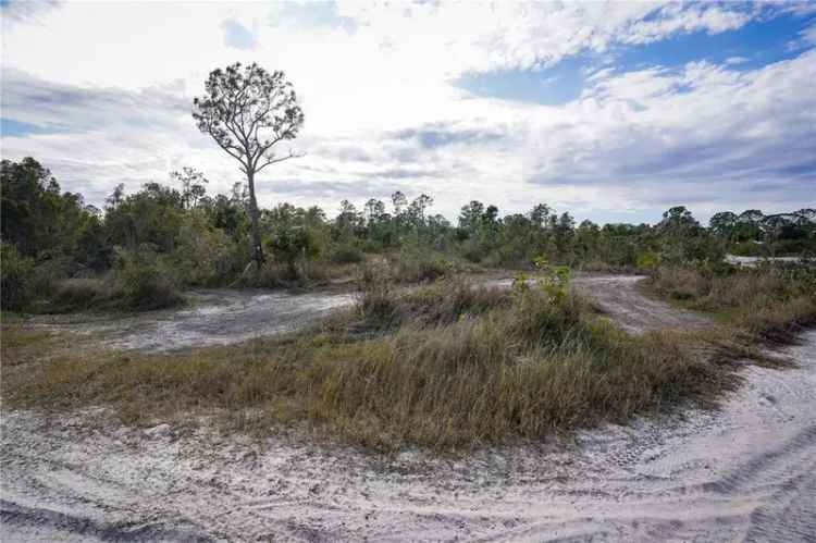 Land For Sale in 7473, Catania Loop, Clermont, Florida