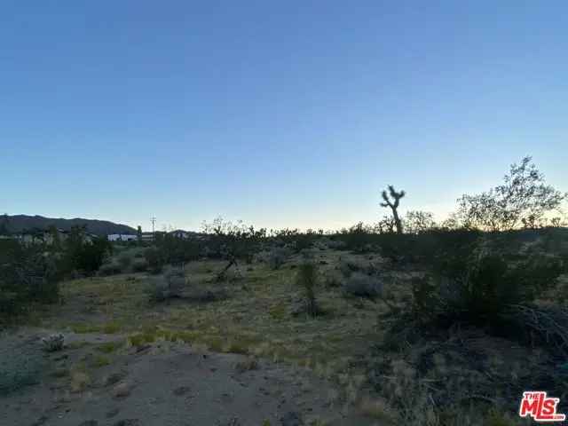 Land For Sale in Joshua Tree, California