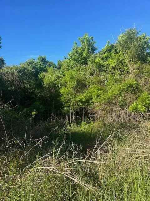 Land For Sale in 167, Kahana Lane, Texas