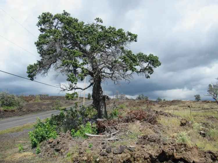 Land For Sale in Hawaiian Ocean View, Hawaii