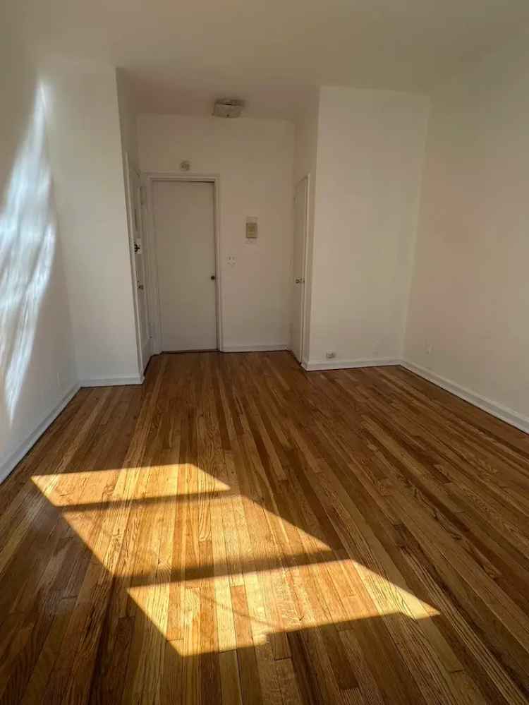 Upper East Side Studio Apartment - Cat Friendly