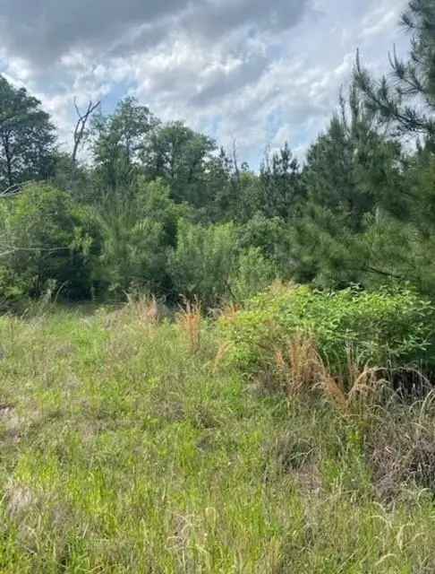 Land For Sale in Texas