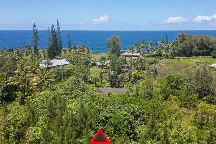 Land For Sale in Keaau, Hawaii