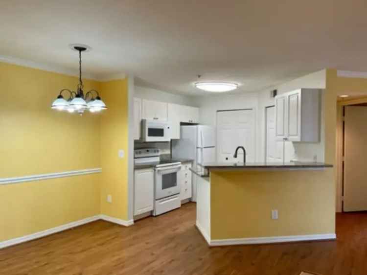 Luxury Condo for Rent in Lutz, FL