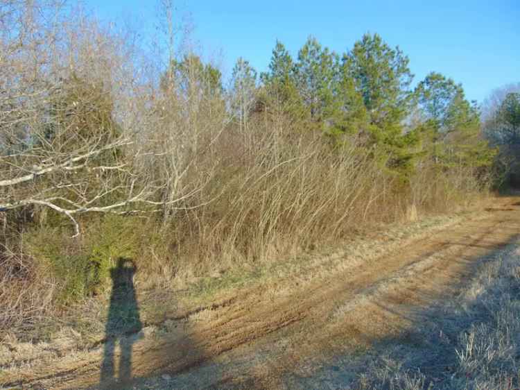 Land For Sale in Muscle Shoals, Alabama