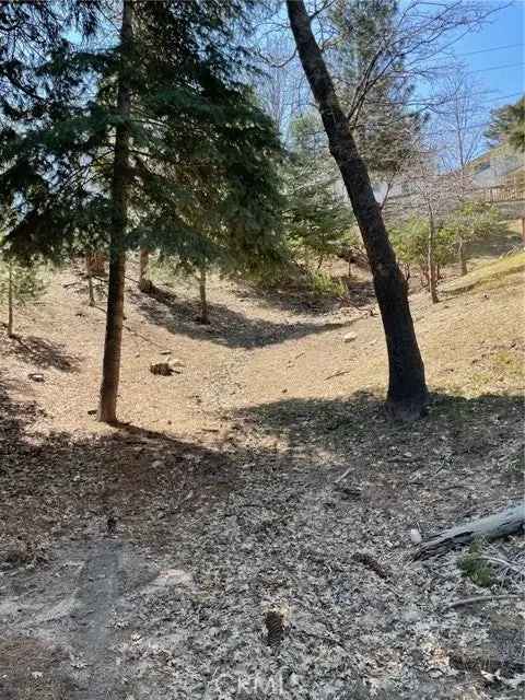 Land For Sale in Lake Arrowhead, California