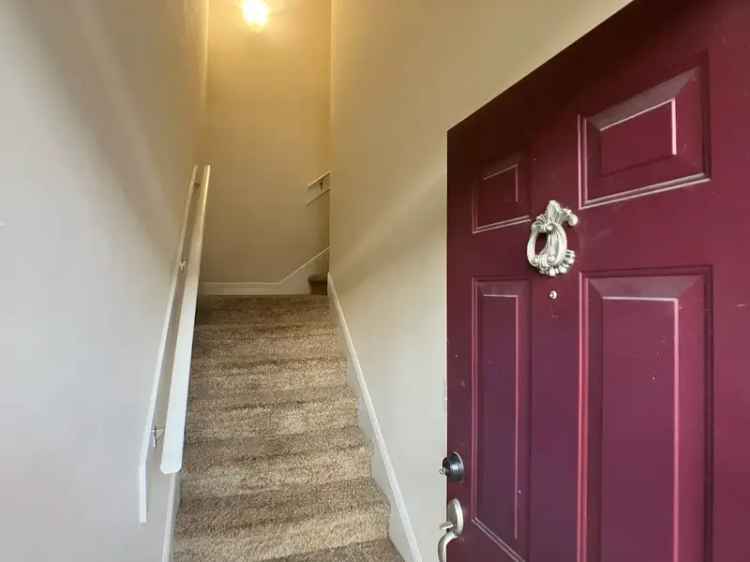 Updated Apartment near UF Campus - Sorority Row