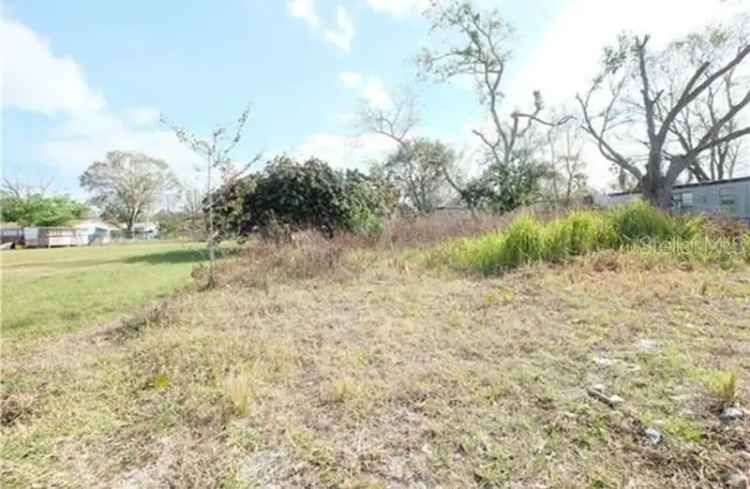 Large Lot in Winter Haven with Survey