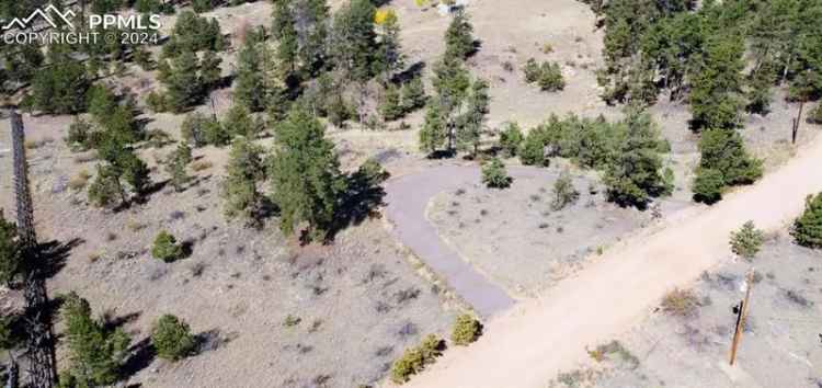 Land For Sale in 187, Circle Drive, Florissant, Colorado