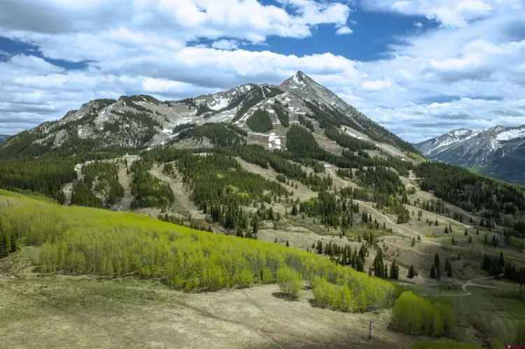 Land For Sale in Mount Crested Butte, Colorado