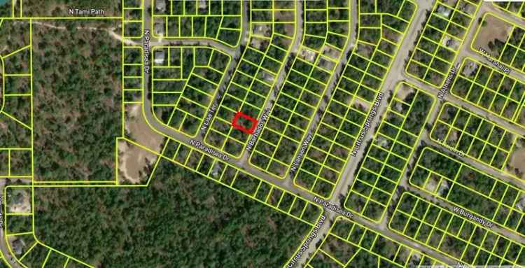 Land For Sale in Citrus Springs, Florida