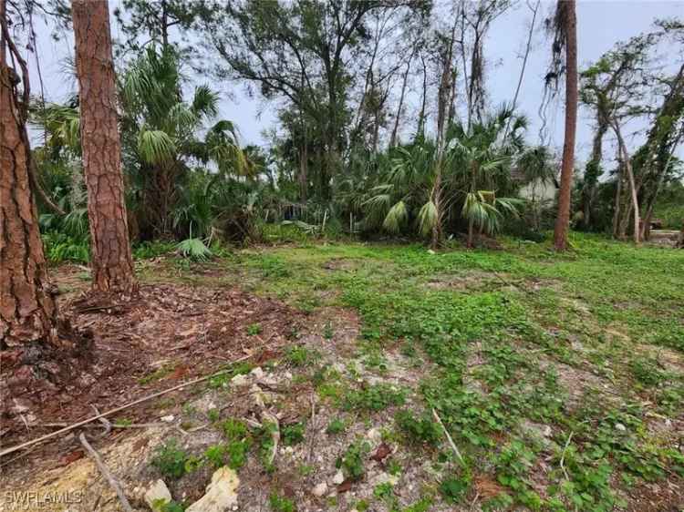 Land For Sale in 462, Columbus Boulevard South, Florida