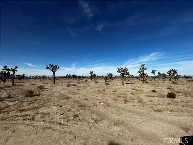 Land For Sale in Piñon Hills, California