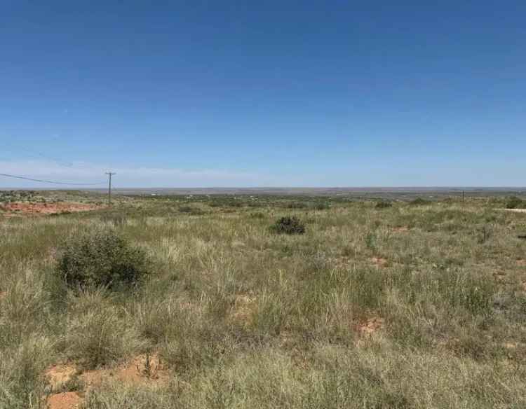 Land For Sale in Celina, Texas