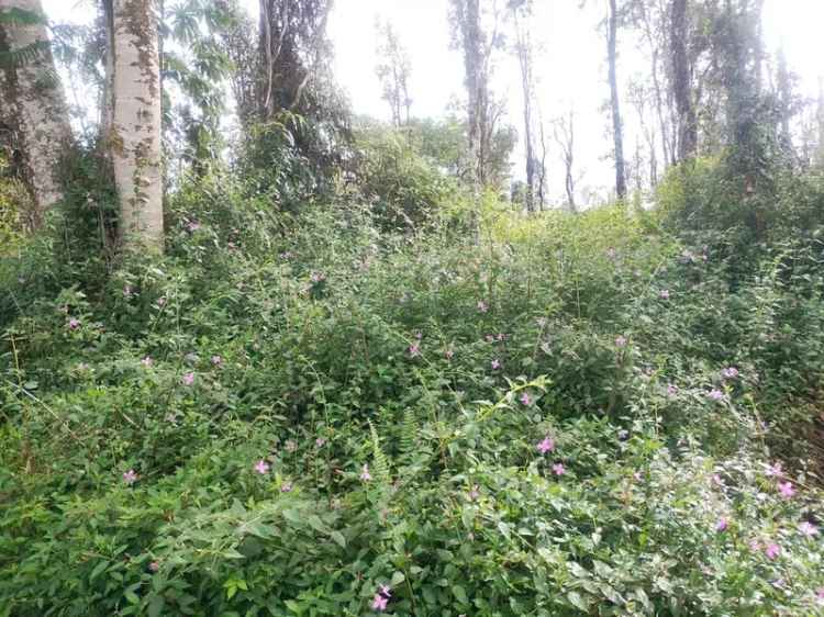 Land For Sale in 15-3038, Pahoa Village Road, Pahoa, Hawaii