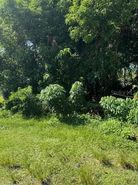 Land For Sale in Saint Petersburg, Florida