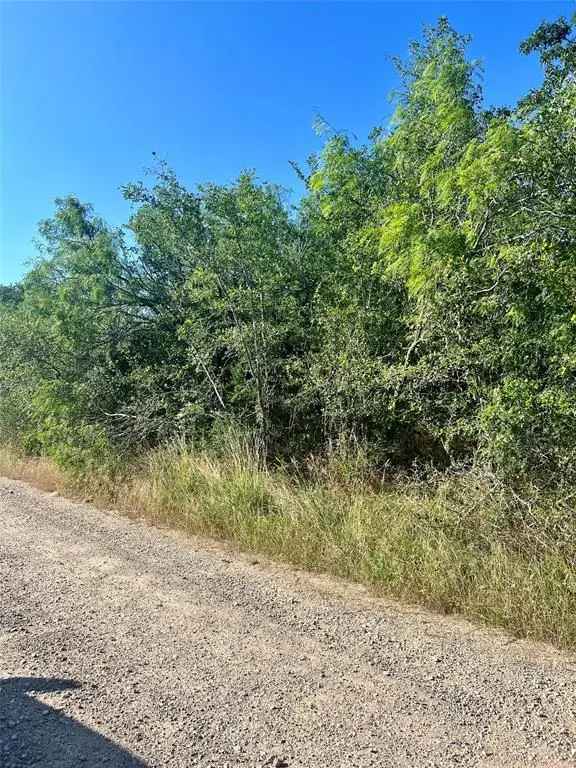 Land For Sale in 179, Helemano Drive, Texas