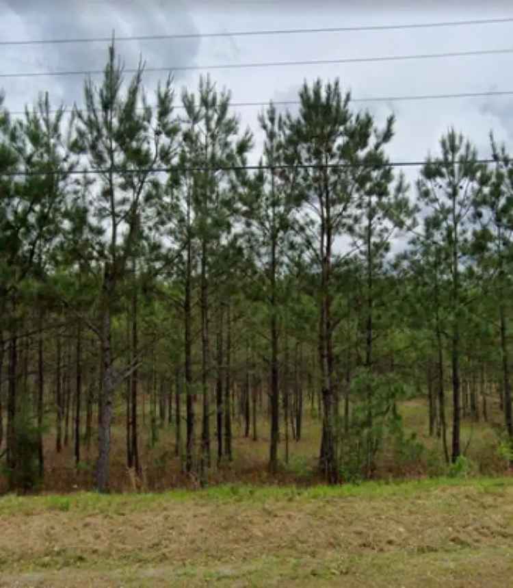 Land For Sale in Pearl, Mississippi