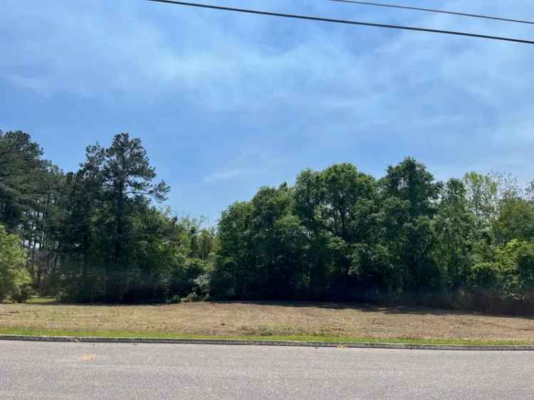 Land For Sale in Andalusia, Alabama