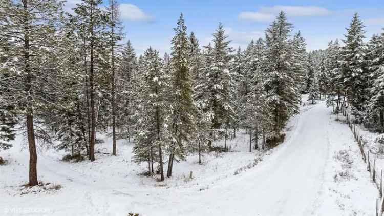 Land For Sale in Fortine, Montana