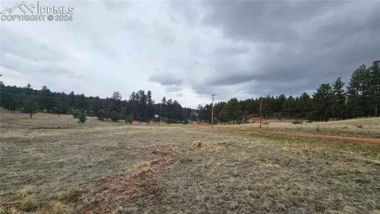 Land For Sale in 188, Obsidian Drive, Florissant, Colorado