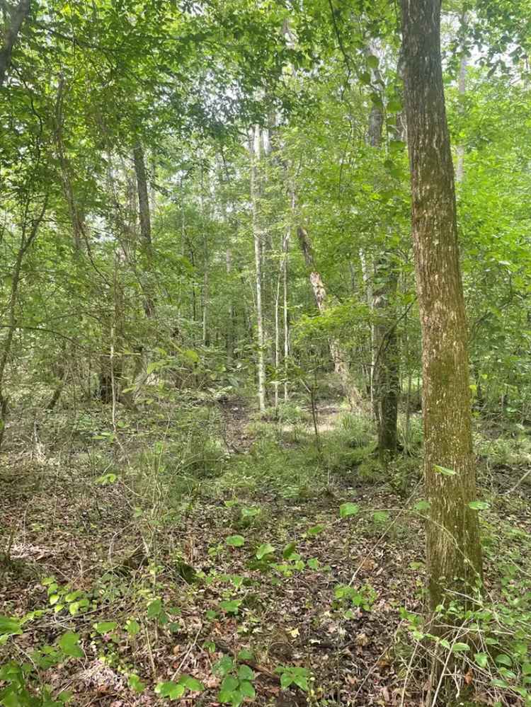 Land For Sale in Tennessee