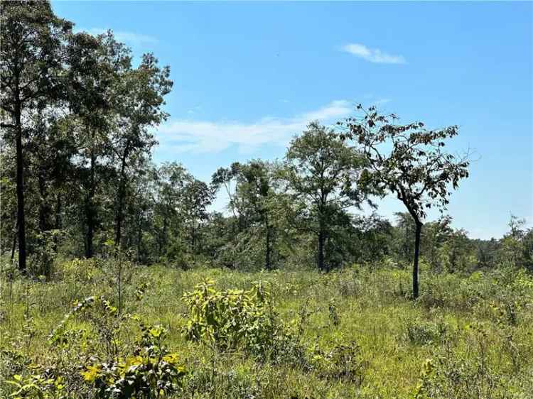 Land For Sale in Alabama