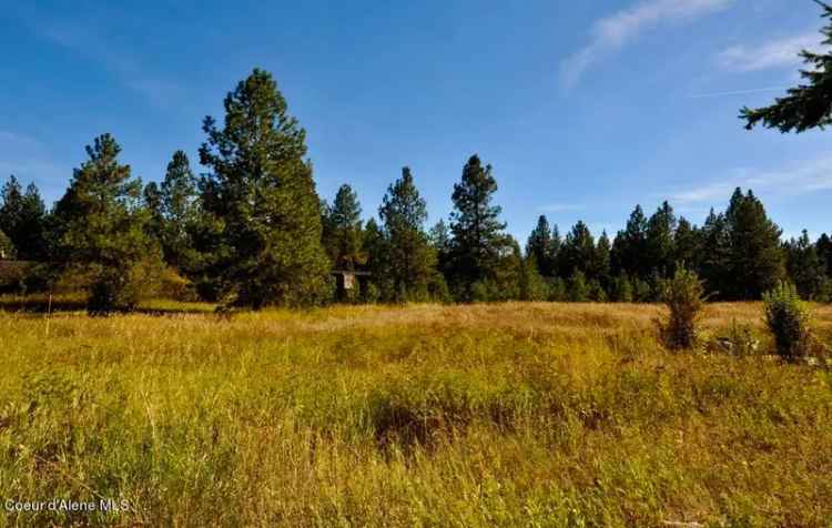 Land For Sale in Rathdrum, Idaho