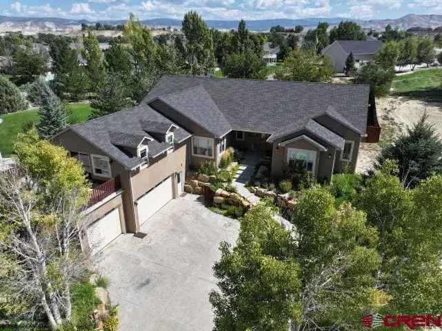 Single-family house For Sale in Montrose, Colorado