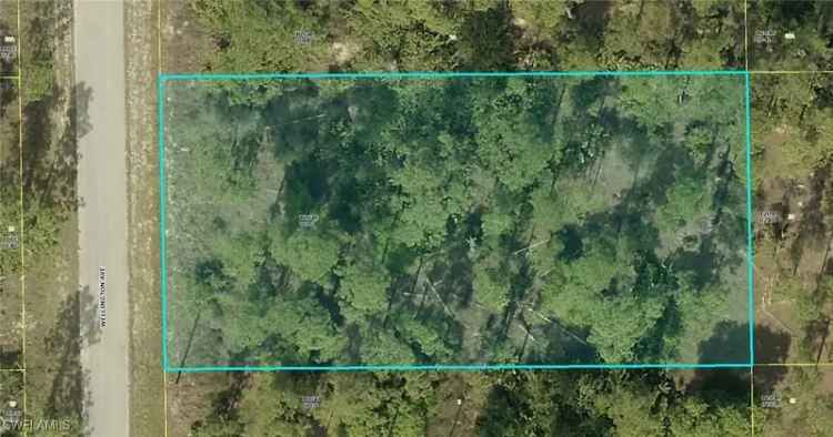 Land For Sale in 1122, Wellington Avenue, Florida