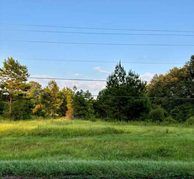 Land For Sale in 8, Oscar Smith Road, Mississippi