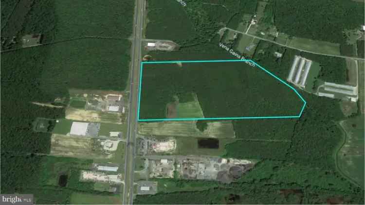 Land For Sale in Delmar, Delaware