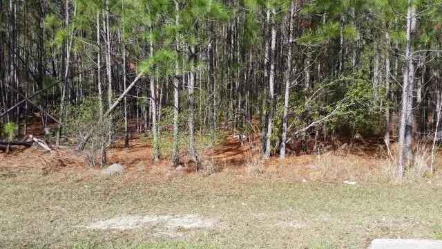 Land For Sale in 196, West Oglethorpe Highway, Hinesville, Georgia