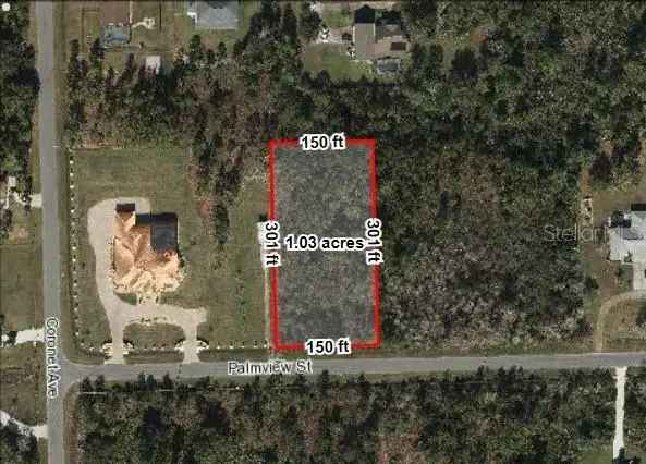 Land For Sale in Wedgefield, Florida