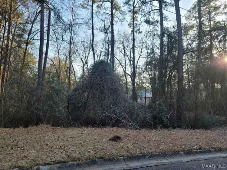 Land For Sale in 814, East Lee Street, Enterprise, Alabama