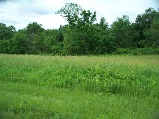 Land For Sale in 3, Honeycomb Court, Guilford Township, Illinois