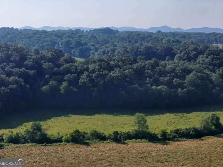 Land For Sale in Coral Reef Road, Georgia