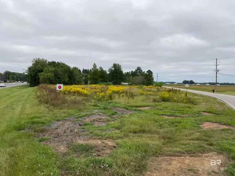 Land For Sale in 25545, Cabinet Shop Road, Loxley, Alabama