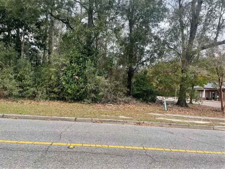 Land For Sale in 812, Downtowner Loop West, Mobile, Alabama